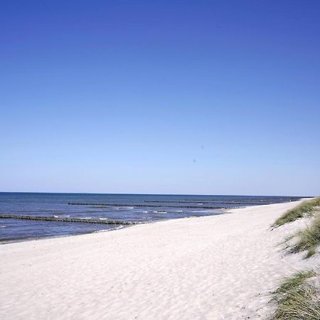 Achtern Diek 8A - Wohnung 5 Zingst Bagian luar foto